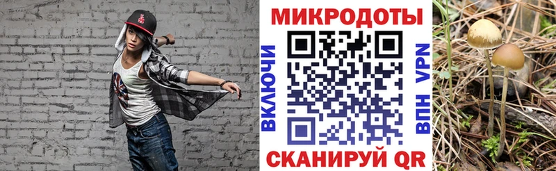 маркетплейс какой сайт  Свободный  Псилоцибиновые грибы Magic Shrooms 